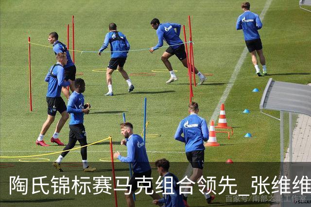 陶氏锦标赛马克组合领先 张维维/张雅惠上升到T10